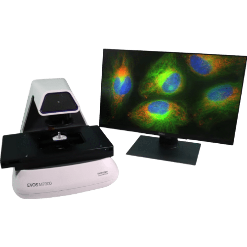 ThermoFisher EVOS M7000 Fluorescence Microscope