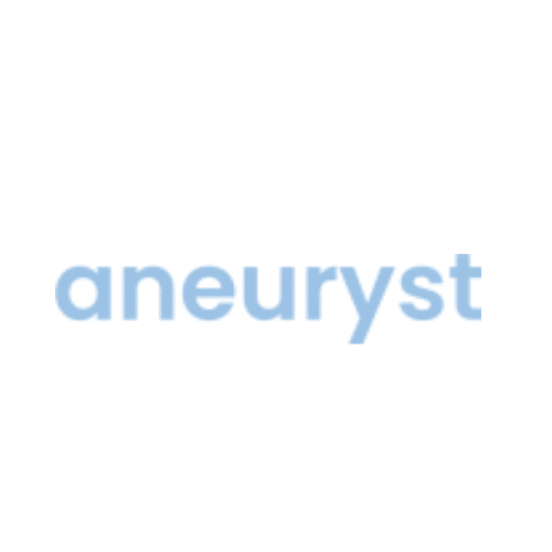 The word aneuryst in a translucent light blue.