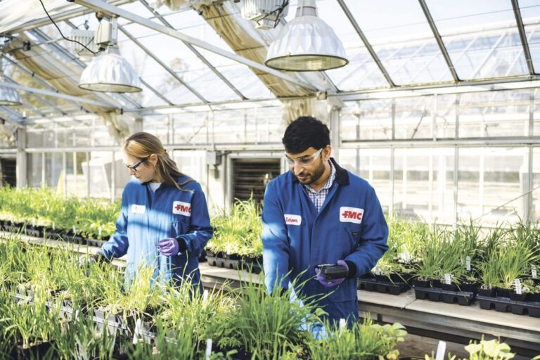 Two people in blue lab coats look at crops in a greenhouse.